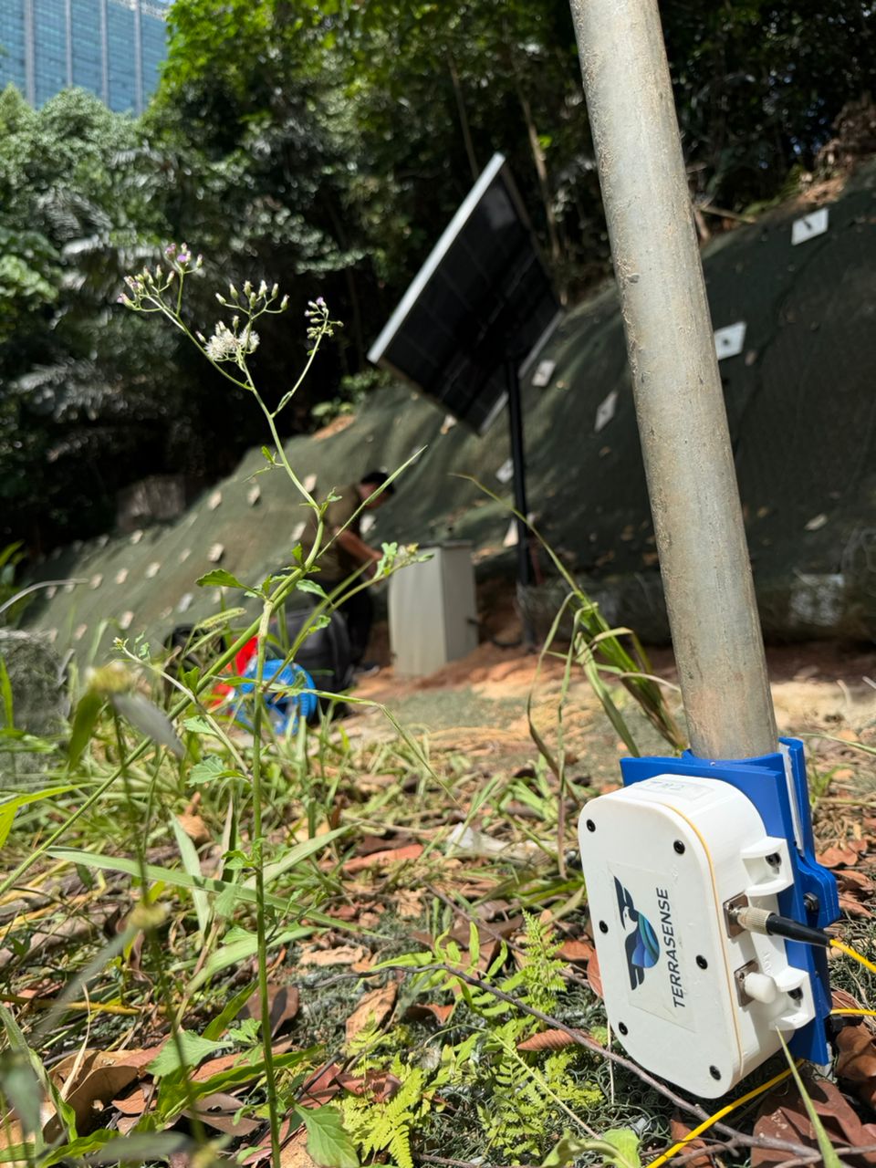 Fiber Link